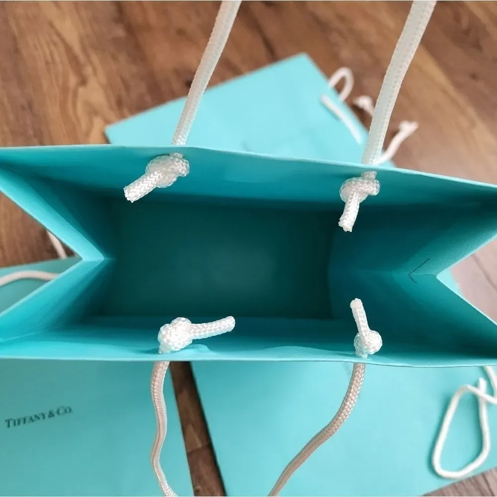 Tiffany & Co. Gift Bags Bundle of 5 Size 8x10